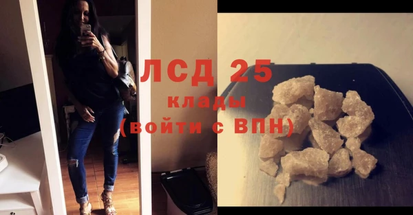 индика Верхний Тагил