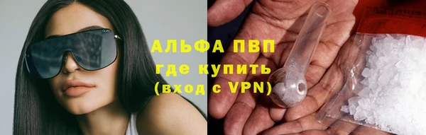 индика Верхний Тагил