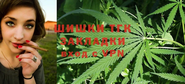 индика Верхний Тагил