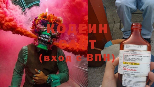 индика Верхний Тагил