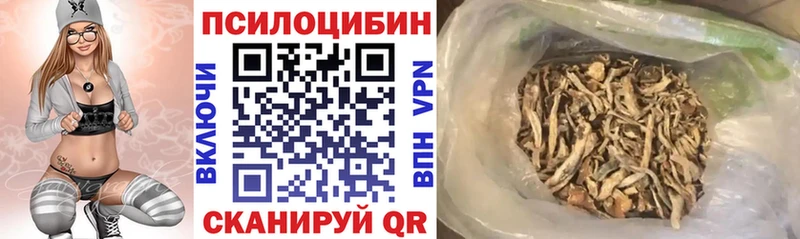 Галлюциногенные грибы Psilocybine cubensis Избербаш
